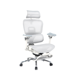 Adjustable Lumbar Support Computer Desk Chair