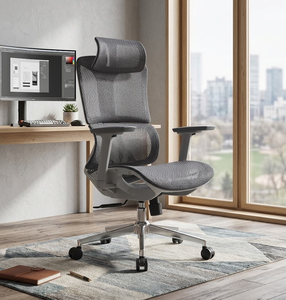 3D Armrest Dynamic Lumbar Ergonomic Mesh Chair